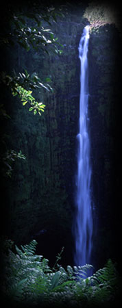Hawaiian Waterfall